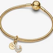 Kép 5/5 - Pandora napfelkelte medál charm - 763891C01