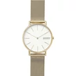 Kép 1/2 - Skagen női óra - SKW2795 - SIGNATUR