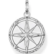 Kép 2/3 - Thomas Sabo tigrisszem iránytű medál - PE833-826-2